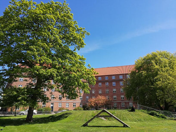 Spacious and bright appartment situated near the center of Nørrebro. Quiet and g Copenhagen, Denmark Big and bright flat in the center of Nørrebro Entire rental unit vacation rental 18628572