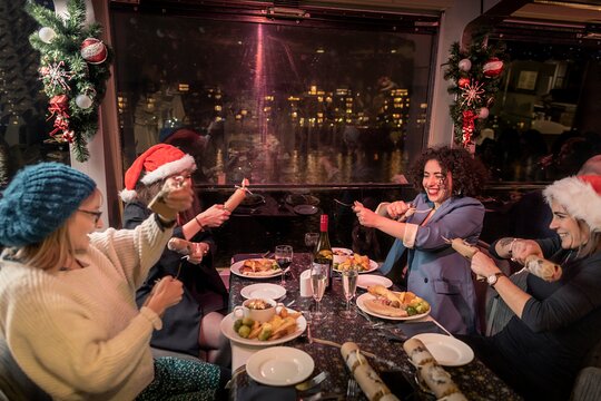 Christmas Party Dinner Cruise  Private Tours and Travel Guide Europe London CITY London Destination Tour