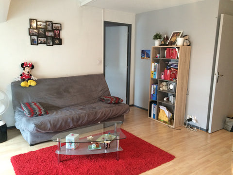 Bonjour,<br />Je loue mon appartement pendant les mois de Juin, Juillet et Août  Saint-Martin-le-Vieux, France Appartement au coeur de Bordeaux ! Entire rental unit vacation rental 3189763