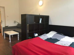 Nice and cosy one bedroom apartment in central location<br /><br /><b>The space< Prague, Czechia Lidicka cosy apartment Entire rental unit vacation rental 40815542