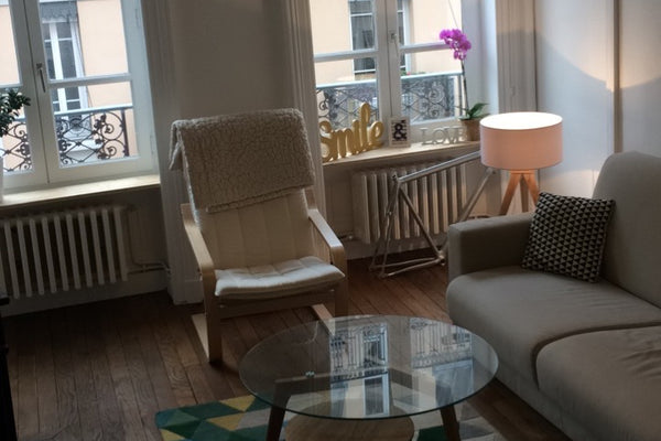 Situé sur le bord du Rhône cet appartement est parfait pour profiter pleinement  Lyon, France Appartement sur les quais du Rhône Private room in rental unit vacation rental 21954319