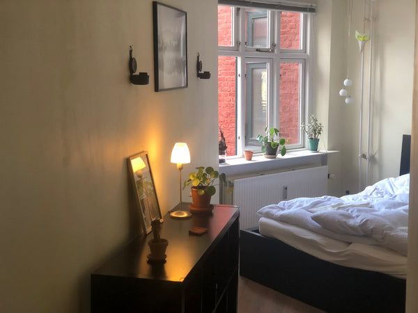 My favorite room with windows out to the common yard which makes it feel like yo Copenhagen, Denmark High-to-ceiling double room in the city with view Private room in rental unit vacation rental 27504405