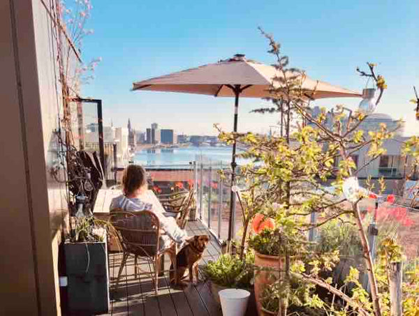 Unik penthouse lejlighed med panorama udsigt fra terrasse på taget med ugeneret  Copenhagen, Denmark Most beautiful rooftop home in Cph harbour. Entire condo vacation rental 50788990