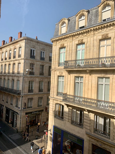 Envie de découvrir Bordeaux à pieds ? Cet appartement est idéal pour vous. <br /  Superbe appartement au coeur de Bordeaux Entire rental unit vacation rental 658734787605343465