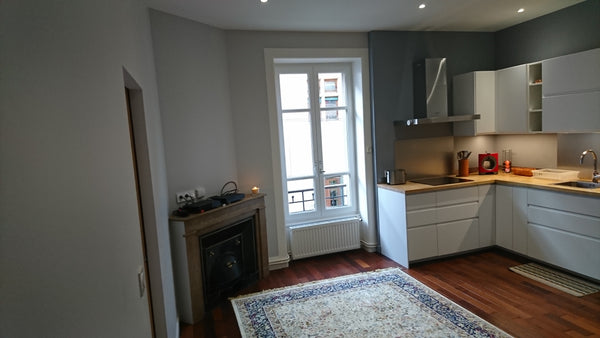 Situé au coeur du 1er arrondissement, à proximité du Jardin des Plantes, l'appar Crémieu, France Le Céleste Entire rental unit vacation rental 48194903