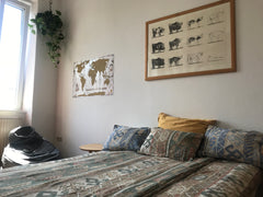 Very nice apartement with lots of light, a big living room that would be complet Mexico City, Mexico Cousy room in nice Apartment Yppenplatz Private room in rental unit vacation rental 26177648