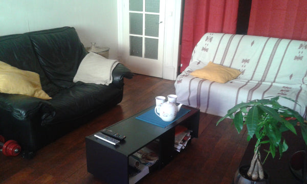 Idéalement situé, à 5 min du parc de la tête d'Or à 10 min à pied de la part die Lyon, France Fête des lumières, appartement au coeur de Lyon Entire rental unit vacation rental 9378464