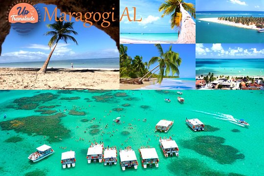 Tour To Maragogi AL  Private Tours and Travel Guide America Recife CITY Porto de Galinhas Destination Tour