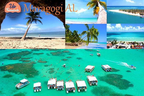 Tour To Maragogi AL  Private Tours and Travel Guide America Recife CITY Porto de Galinhas Destination Tour America Recife CITY Porto de Galinhas