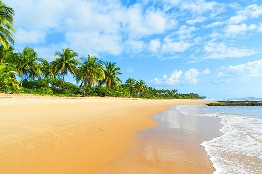 South of Bahia Tour  Private Tours and Travel Guide America Bahia CITY Porto Seguro Destination Tour