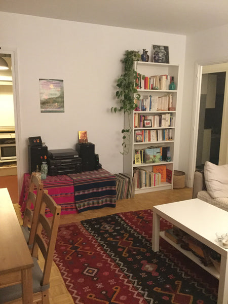 Charming appartement in the south of Paris from witch you can see the Eiffel Tow Paris, France Charmant appartement proche Gare Montparnasse Entire rental unit vacation rental 22435441