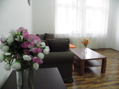 Spacious apartment in the heart of historical part of Prague nearby from Old Tow Prague, Czechia Lovely Downtown Apartment Entire rental unit vacation rental 3119260