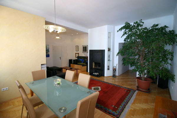 <b>The space</b><br />A warm welcome in  Apartment Moser!<br />You will feel lik Vienna, Austria Wien entdecken, Vienna to explore Entire condo vacation rental 12057432