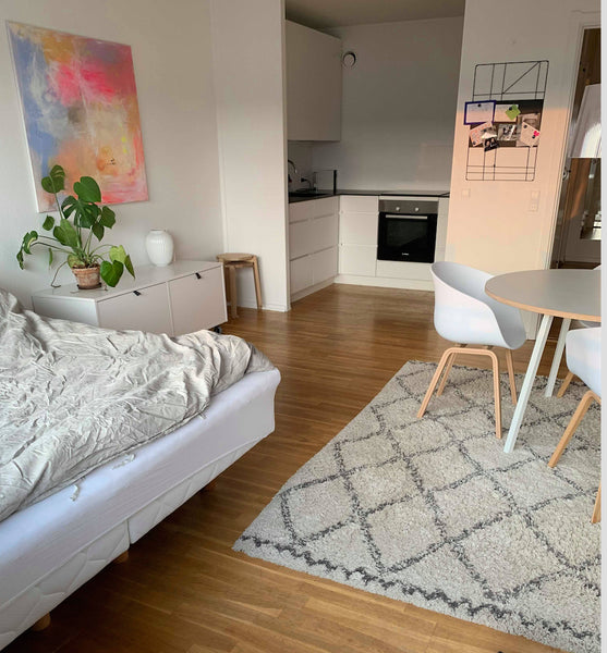 Hyggelig 1-værelses lejlighed med central beliggenhed. 15 min til rådhuspladsen.  Central beligenhed i et roligt kvater Entire rental unit vacation rental 41455432