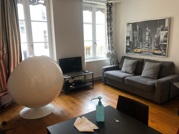 Charme quiétude et atmosphère chaleureuse pour cet appartement situé au cœur his Lyon, France le doyenné au cœur historique de lyon Entire rental unit vacation rental 33182651