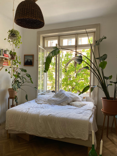 Hallo!<br />Ich vermiete meine Wohlfühloase im Sommer unter und suche potenziell Heilbad Heiligenstadt, Germany Gemütliches WG Zimmer zum Wohlfühlen Private room in rental unit vacation rental 640191987827629551