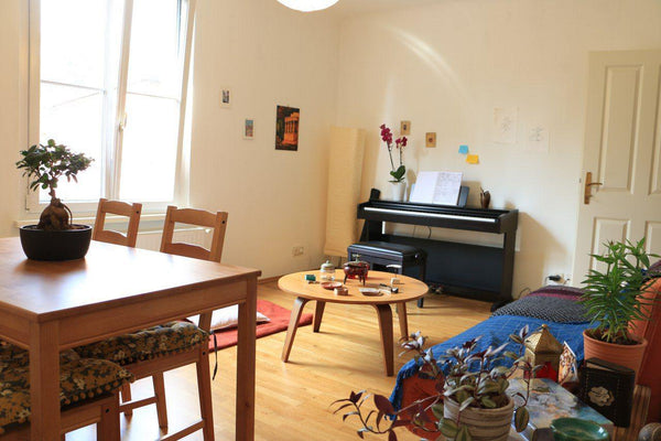 cosy bright and clean apartment with terrace located in a green quiet area near  Vienna, Austria Cozy bright apartment with terrace Entire rental unit vacation rental 25030905