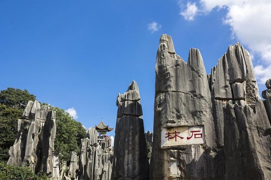 1 Day Self Guided Stone Forest Geological Park Tour from Kunming  Private Tours and Travel Guide Asia Shanghai CITY Kunming Destination Tour