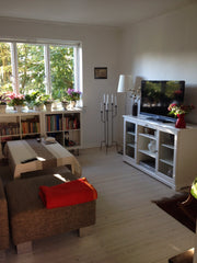 Lovely 3 room apartment in quiet area 5 minutes walk from scenic and green area. Copenhagen, Denmark 3 vær lys lejlighed i grønt område Entire rental unit vacation rental 3429592