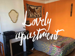 Nice 40m2 apartment with two rooms : a bedroom and a livingroom (with a sofabed) Paris, France Lovely apartment, Paris 11e Entire rental unit vacation rental 6921326