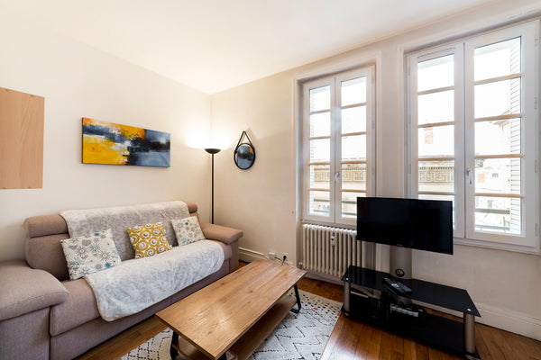 Directly on the Place des Céléstins, in the heart of a very beautiful bourgeois  Lyon, France Place des Céléstins 6th floor quiet and renovated Entire rental unit vacation rental 33507560