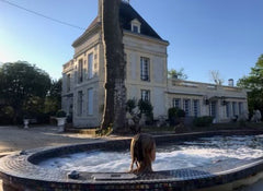 Aux portes du vignoble du médoc, à 8kms de Bordeaux, classé au patrimoine mondia Bordeaux, France Une maison chaleureuse à proximité de Bordeaux Entire home vacation rental 21644674