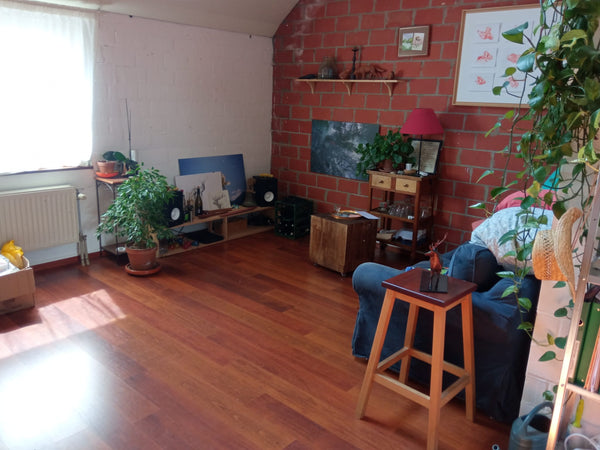 The room has one double bed + one fold out couch and a work desk. Ideal for a co Lille, France Spacious bright room next to Brussel Midi station Private room in townhouse vacation rental 675093785566304971