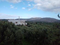 This house is located in Zakros ..<br /><br /><b>License number</b><br />0000135  Villa Helen's Olive Garden Entire villa vacation rental 46813192
