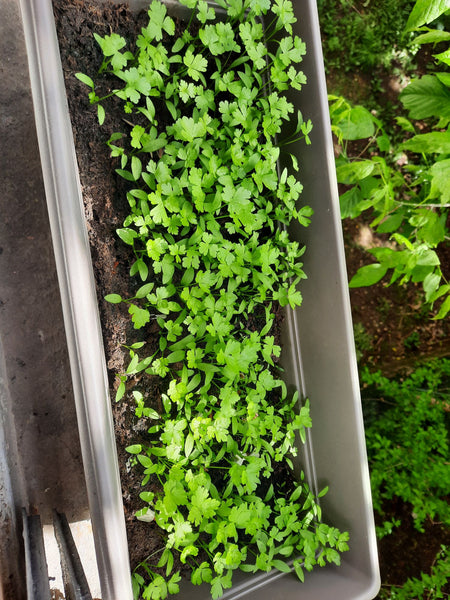 Appartement lumineux de 35m carré tout équipé dans un quartier très calme. Accès Lyon, France Appartement 35m carré Monchat Entire rental unit vacation rental 49797534