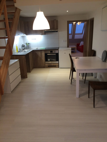 Krásný apartmán v blízkosti centra , který se nachází v rekonstruovaném domě ve  Brno, Czechia Apartmán Udolní B s balkónem Entire rental unit vacation rental 15695793