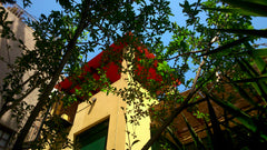 The loft is part of a typical Athenian neoclassical house of the early 20th cent Athens, Attica, Greece Sunny attic. Acropolis-Koukaki. Entire loft vacation rental 9718738
