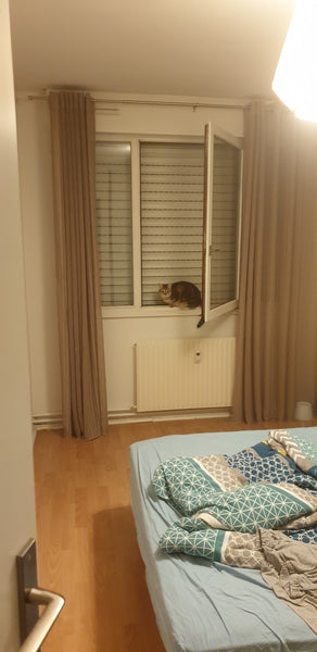 Ce logement parfaitement situé au croisement des lignes B et D offre un accès fa Bayonne, France Appartement à Lyon Private room in rental unit vacation rental 731881920137682679