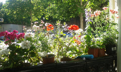 APPARTEMENT TRES CALME SITUE EN PLEIN COEUR DE PARIS A DEUX PAS DU JARDIN DU LUX Paris, France La campagne à Paris Entire rental unit vacation rental 19130035