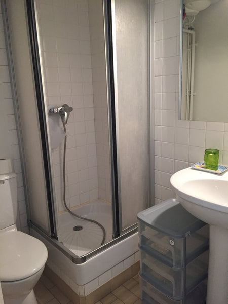 Studio avec cuisine équipée canapé convertible confortable et dalle de bain et t Issy-les-Moulineaux, France Studio indépendant Entire guesthouse vacation rental 22419080