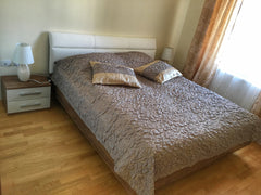 Please inform about your arrival time in advance that we can meet you in time.<b Prague, Czechia Apartment IP Pavlova, 7min walk to the city center Entire rental unit vacation rental 20151416