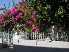 A fully independent house of 87sqm, with a private garden of 270sqm, in the city Heraklion, Greece Villa Depy Entire home vacation rental 26979201