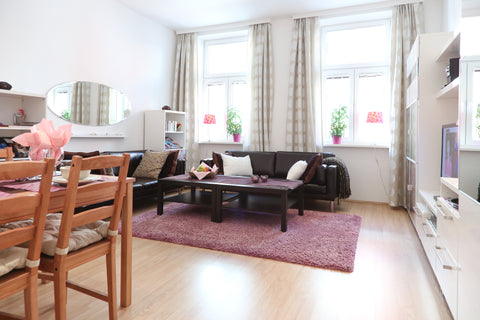 2bedroom apartment sleeping 4 persons.<br />Master BR: double bed for 2<br />2nd Vienna, Austria Near Palace Schönbrunn, Apt. 3 Entire rental unit vacation rental 311836