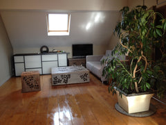 Private large room in a beautiful loft in top location in Brussels, close to the Brussels, Belgium GREAT LARGE ROOM in LUX LOFT Private room in loft vacation rental 6895906