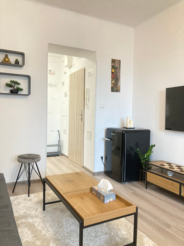 Brand new renovated flat 1+kitchenette on the 4th floor with an elevator is loca  Zrekonstruovaný útulný byt 1+kk Entire condo vacation rental 50974869
