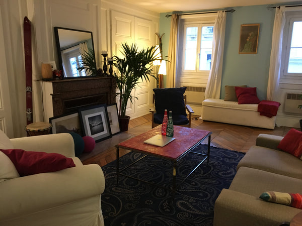 This cozy one-bedroom top-floor apartment is located right in the city center ne Lyon, France Cozy central appartement Entire rental unit vacation rental 13277804