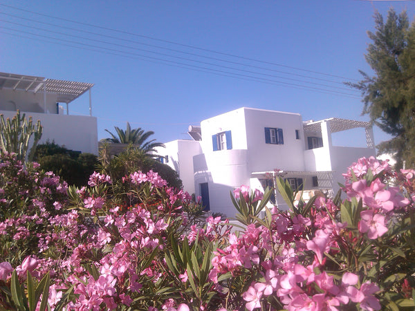 Our accomodation consists of a number of Studios and Apartments<br />The Studios Paros, Greece Nicos studio C Entire rental unit vacation rental 8394944