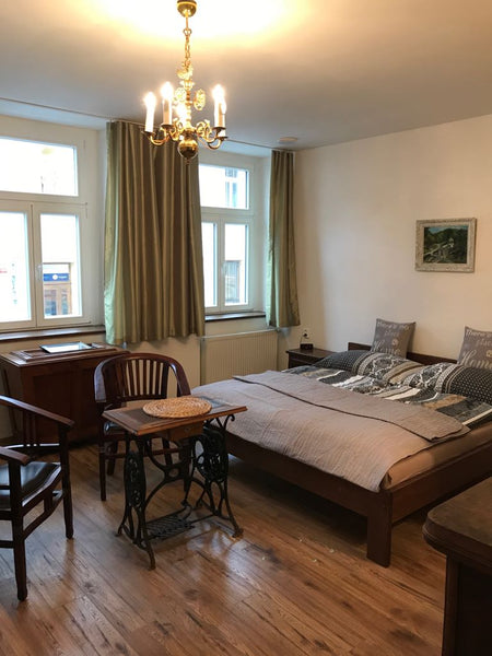 This flat offers everything you might need during your stay in Prague.  You will  New cosy apt close to the centre with a balcony Entire guest suite vacation rental 20049025