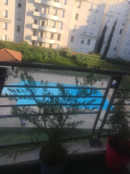 Je vous propose mon Appt T2 de 50m2 dans résid avec piscine, espace vert, gardie  T2 résidencre piscine proche centre lyon Entire condo vacation rental 22119799