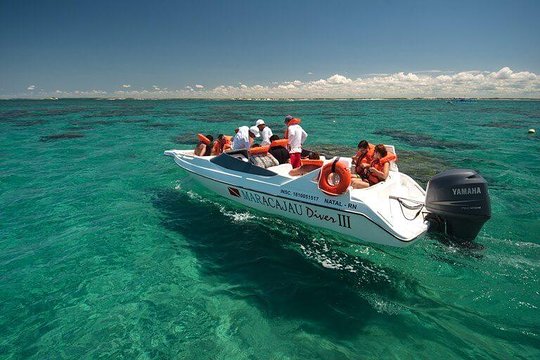 Excursion To Maracajaú With Diving (Speedboat)  Private Tours and Travel Guide America Fortaleza CITY Natal Destination Tour