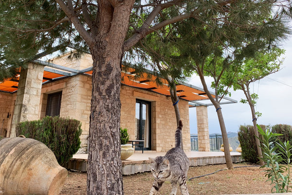 Beautiful stone 95m2 house composed of 2 bedrooms, 2 bathrooms, living room).  T Brussels, Belgium Beautiful stone house in Crete! Entire home vacation rental 7813357