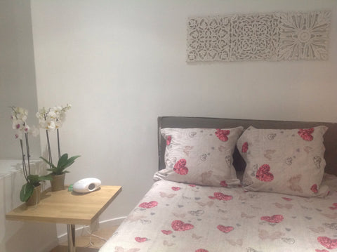 A charming recently renovated house-apartment away from the hustle & bustle of t Paris, France A couple/ family - you'll love it! Entire rental unit vacation rental 7070896