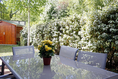 Bienvenu dans notre "chez nous". Nous serons ravis de vous accueillir dans notre Saint-Médard-en-Jalles, France Une chambre à la lisière d'un bois, bienvenue ! Private room in home vacation rental 18267662