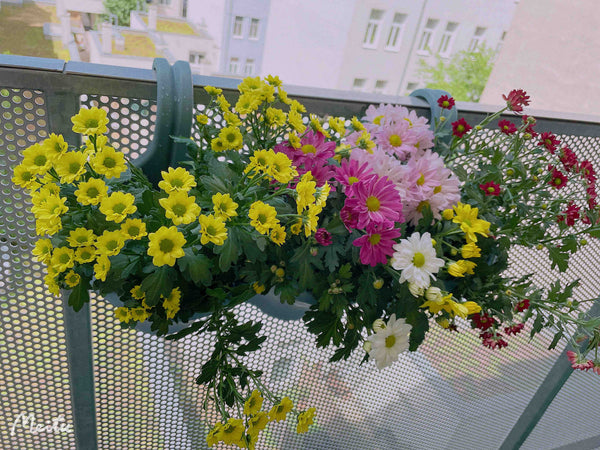 This apartment is located in a new apartment near Metro Line 4.  Comfortable bed Vienna, Austria Naschmarket No. 30 Apartment Entire condo vacation rental 668739205773473185