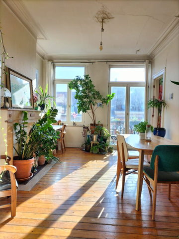 Appartement typique bruxellois très lumineux au 4eme étage d'un immeuble de char Dinant, Belgium Bright and quiet apartment in Saint Gilles Entire rental unit vacation rental 711593675439673830