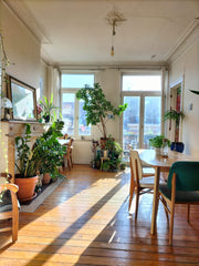 Appartement typique bruxellois très lumineux au 4eme étage d'un immeuble de char Dinant, Belgium Bright and quiet apartment in Saint Gilles Entire rental unit vacation rental 711593675439673830